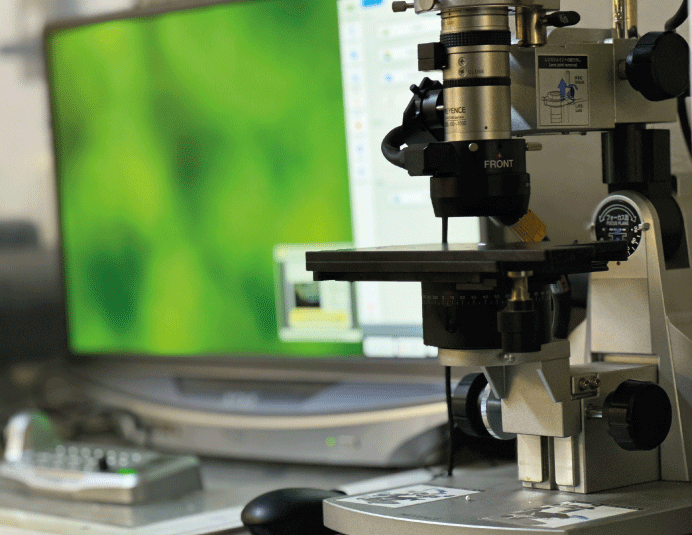 Laboratorio de pruebas acreditado ante la EMA Condulimex
